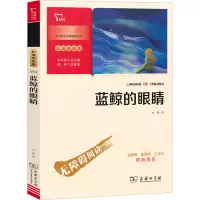 音像蓝鲸的眼睛冰波