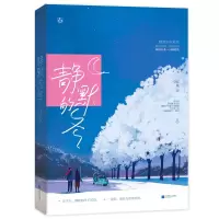 音像静默的冬宁听风