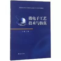 音像微工艺技术与编者:王强