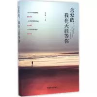 音像亲爱的,我在天涯等你李唐 著