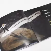 音像心弦合一 绽放冰巅的羽生结弦作者