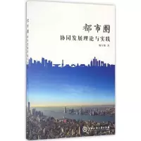 音像都市圈协同发展理论与实践廉军伟 著