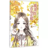 音像琥珀色青春正暖梅吉 著