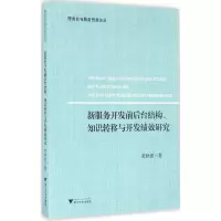音像新服务开发前后台结构、知识转移与开发绩效研究黄秋波 著