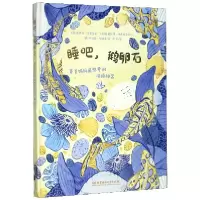 音像睡吧鹅卵石(爸爸妈妈想要的哄睡神器)(精)