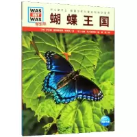 音像蝴蝶(学版)/什么是什么