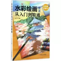 音像水彩绘画技法从入门到精通目丁兔 编著