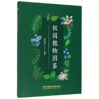 音像校园植物图鉴编者:杨照渠|责编:申玉琴