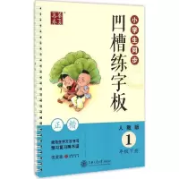音像小学生同步凹槽练字板田英章 书