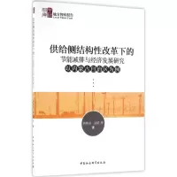 音像供给侧结构改革下的节能减排与经济发展研究陈晓东 等 著