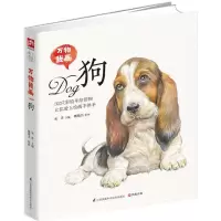 音像万物我画宋洋 主编;陈晓杰 绘画