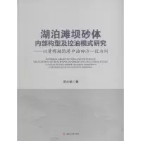 音像湖泊滩坝砂体内部构型及控油模式研究吴小斌 著