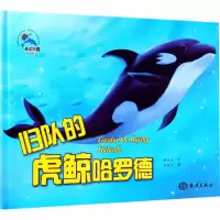 音像归队的虎鲸哈罗德糖朵朵