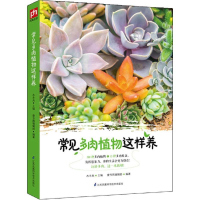 音像常见多肉植物这样养木丰央 主编;壹号图编辑部 编著
