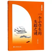 音像一个小学生的失踪之谜/巨鹿文库王周生