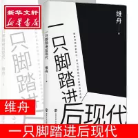 音像一只脚踏进后现代维舟