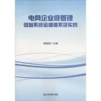 音像电网企业级管理信息系统运维体系及实践陈祖斌 主编