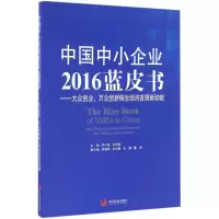 音像中国中小企业2016蓝皮书李子彬, 刘迎秋 主编