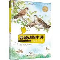 音像麻雀兰迪(加)欧·汤·西顿