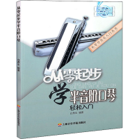 音像从零起步学半音阶口琴白燕生
