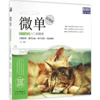 音像微单旅行摄影入门到精通一白 编著