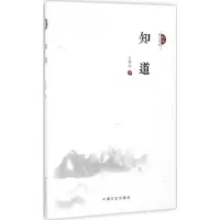 音像知道王东冬 著