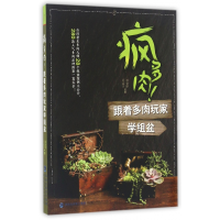 音像疯多肉跟着多肉玩家学组盆刘仓印//吴孟宇