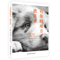 音像有你的地方就是家(美)苏珊·威尔逊|译者:韩芷菡