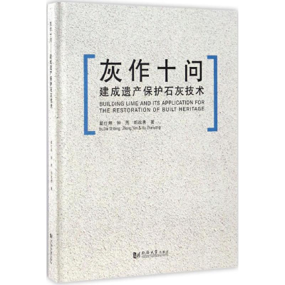音像灰作十问戴仕炳,钟燕,胡战勇 著