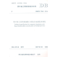 音像四川省大直径素混凝土桩复合地基技术规程本社 编