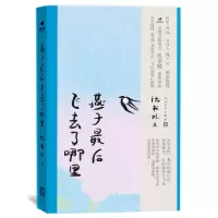 音像燕子飞去了哪里沈书枝