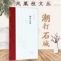 音像潮打石城(精)/凤凰枝文丛程章灿