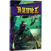 音像沉船的秘密马永佳 著