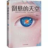 音像倒悬的天空程婧波