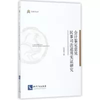 音像会计鉴定意见民事司法适用实研究白岱恩
