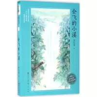 音像会飞的小溪李东华 著