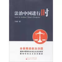 音像法治中国进行时孙磊 著