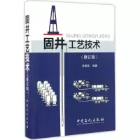 音像固井工艺技术张明昌 编著