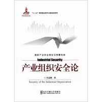 音像产业组织安全论李孟刚 著