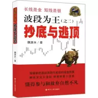 音像波段为王魏源水 著