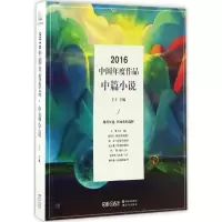 音像2016中国年度作品王干 主编