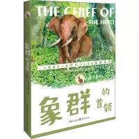 音像象群的首领(美)达恩·默克奇
