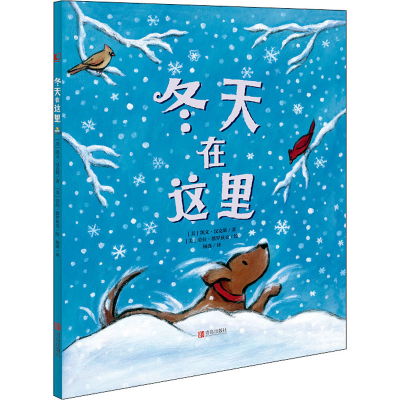 音像冬天在这里(美)凯文·汉克斯