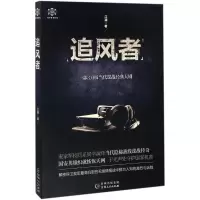 音像追风者江澜 著