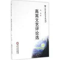 音像高嵩文艺评论选高嵩 著;杨梓 丛书主编