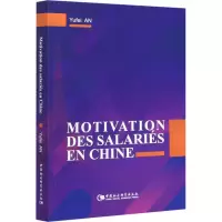 音像中国企业激励策略研究安宇飞