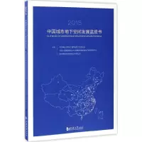 音像中国城市地下空间发展蓝皮书.2015