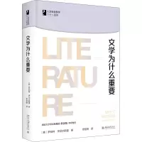 音像文学为什么重要(英)罗伯特·伊戈尔斯通