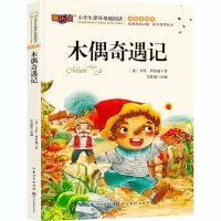 音像木偶奇遇记不详