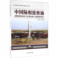 音像中国陆相致密油杜金虎 等 编
